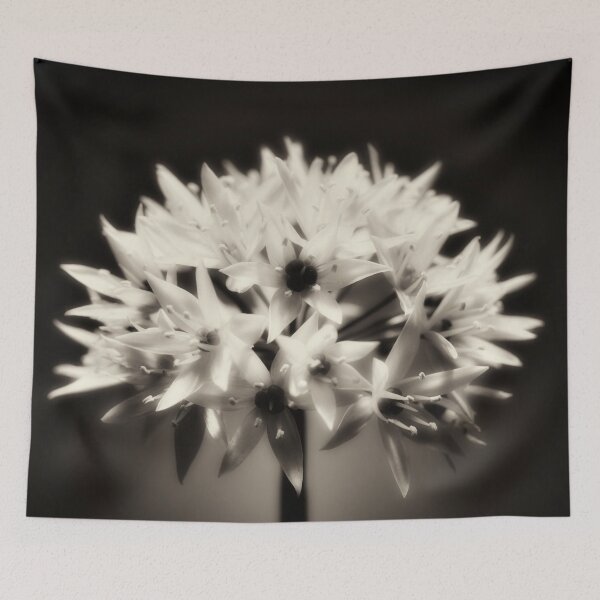 Item preview, Wild Garlic flower No. 2 (B&W) designed and sold by Phillip Thornton.