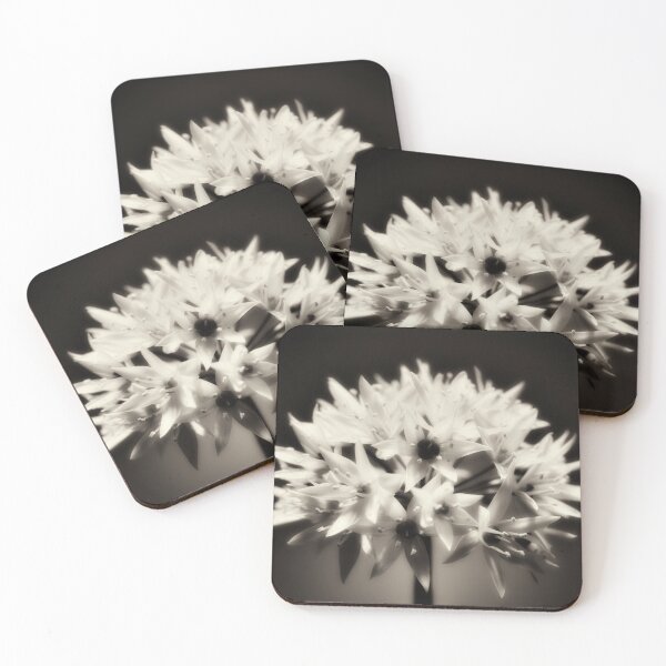 Item preview, Wild Garlic flower No. 2 (B&W) designed and sold by Phillip Thornton.