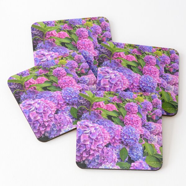 Item preview, Hydrangeas at the Victoria & Albert Museum designed and sold by zealology.