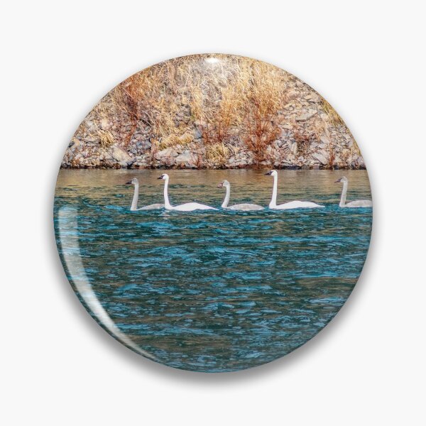 Item preview, Five Swans a Swimming designed and sold by Bryan Spellman.