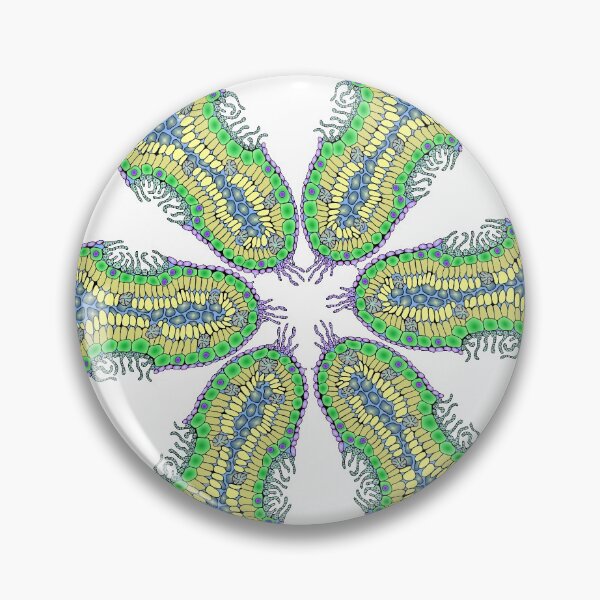 Item preview, six violas designed and sold by Paulina Dabrowska-Dorozynska.