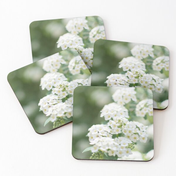Item preview, White flowers closeup designed and sold by lena-maximova.