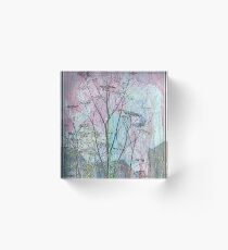 Seedhead Acrylic Block