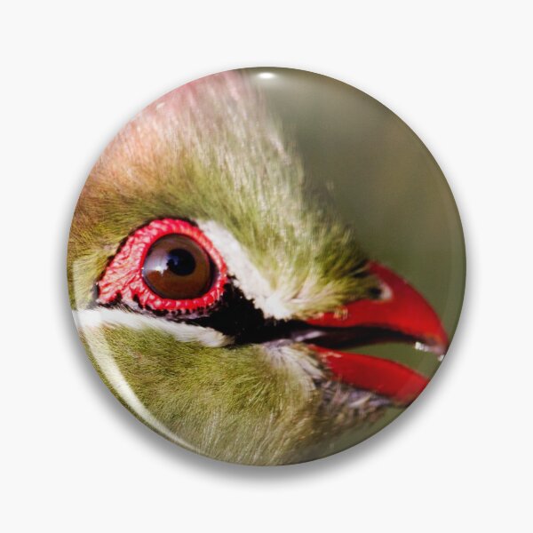 Item preview, Fischers Turaco Bird designed and sold by FOLK ART FUSION by heidiannemorris.