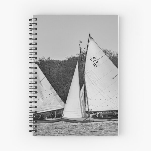 Item preview, Two traditional brown boats racing on Wroxham Broad, Norfolk designed and sold by yackers1.