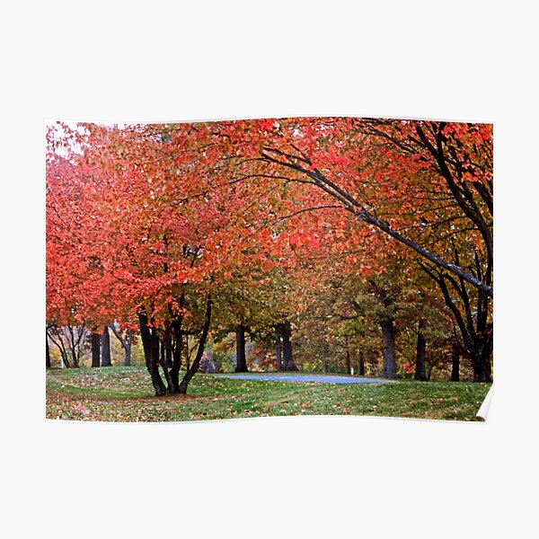 October After Showers Poster