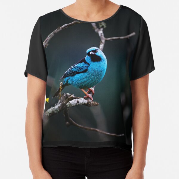 Wildlife Photography | Blue Birb Chiffon Top