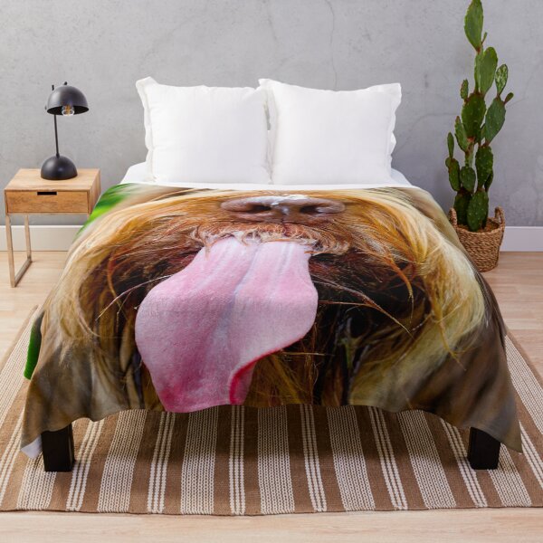 Item preview, Spinone Cheesecake Kiss designed and sold by FOLK ART FUSION by heidiannemorris.