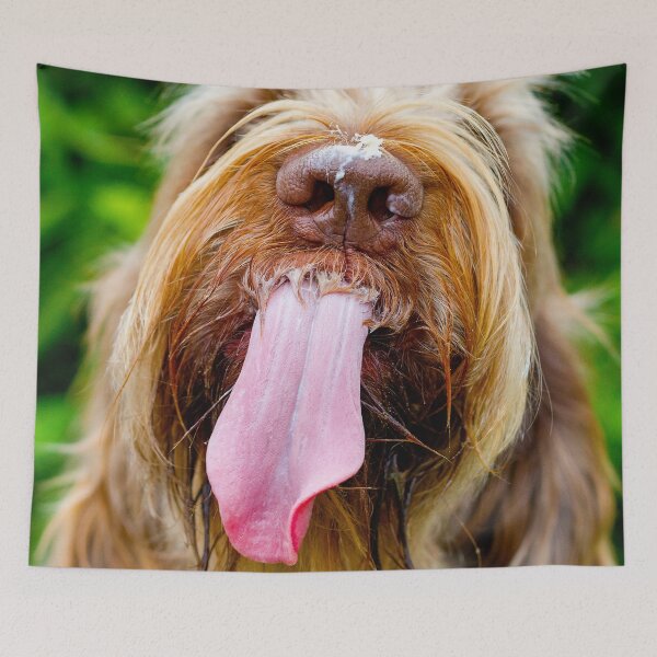 Item preview, Spinone Cheesecake Kiss designed and sold by FOLK ART FUSION by heidiannemorris.