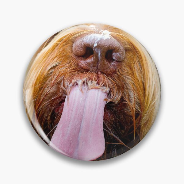 Item preview, Spinone Cheesecake Kiss designed and sold by FOLK ART FUSION by heidiannemorris.