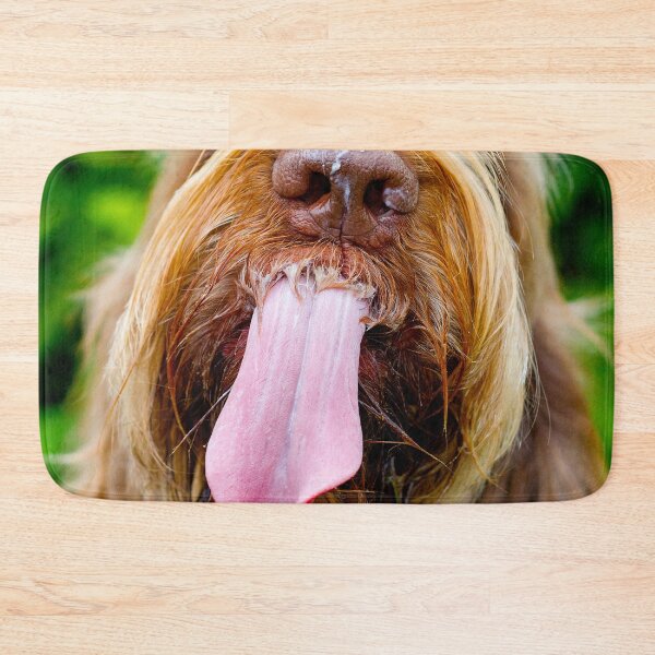 Item preview, Spinone Cheesecake Kiss designed and sold by FOLK ART FUSION by heidiannemorris.