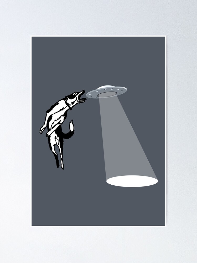 Details about / Banksy Style Dog Catching Frisbee Street Art Wall Decor Poster No Framed