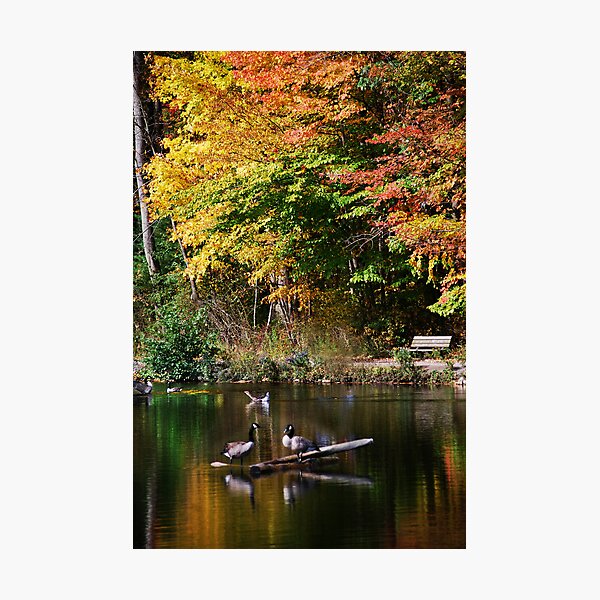 Item preview, Autumn Scene designed and sold by Laurie Minor.