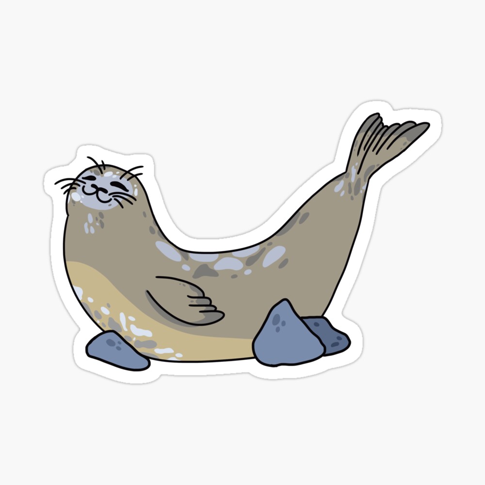 Details 126+ happy seal pose super hot vova.edu.vn