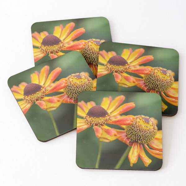Item preview,  Heleniums in the rain. designed and sold by John Ray.