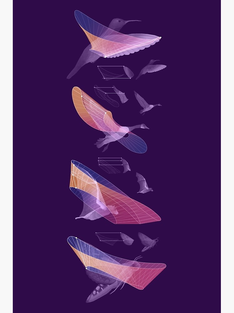 Flight Deconstructed by EleanorLutz