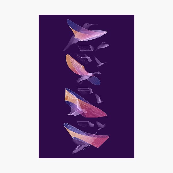 Item preview, Flight Deconstructed designed and sold by EleanorLutz.