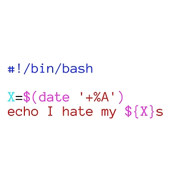 Artwork thumbnail, Bash Script I hate my Xs by cheeryscript