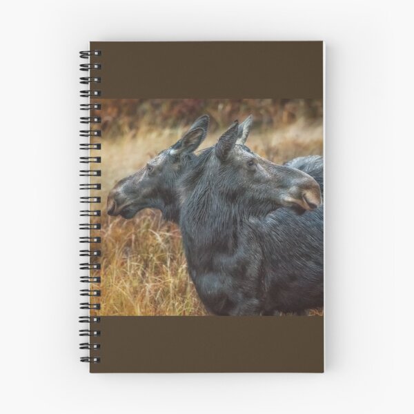 Item preview, The Moose has Two Faces designed and sold by Owed To Nature.