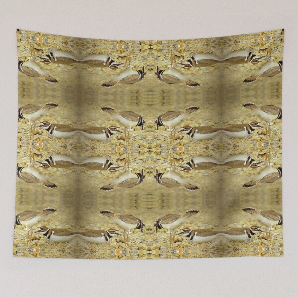 Item preview, Killdeer Reflections designed and sold by Jean Gregory Evans.