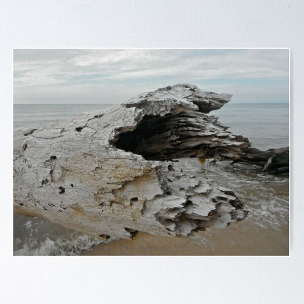 Item preview, Log History designed and sold by Diana Grunwald.