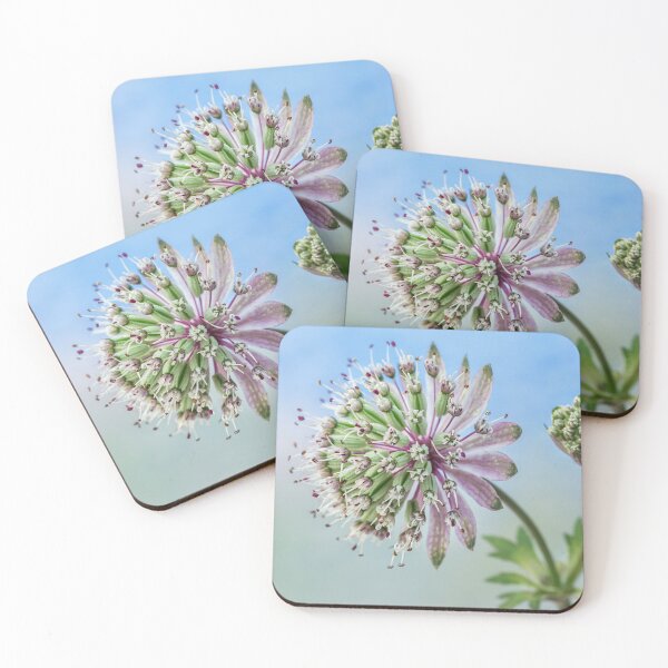 Item preview,  Astrantia and Bud designed and sold by John Ray.
