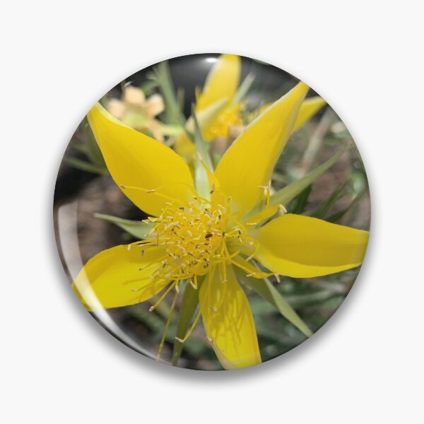Item preview, Yellow Blazing Star designed and sold by GraceSage.