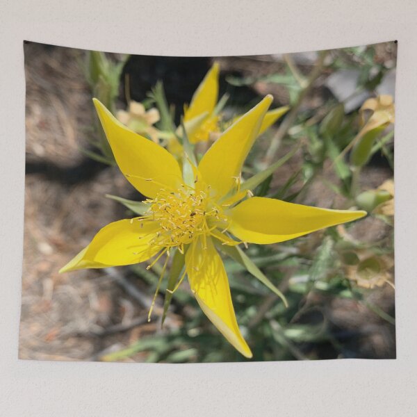 Item preview, Yellow Blazing Star designed and sold by GraceSage.
