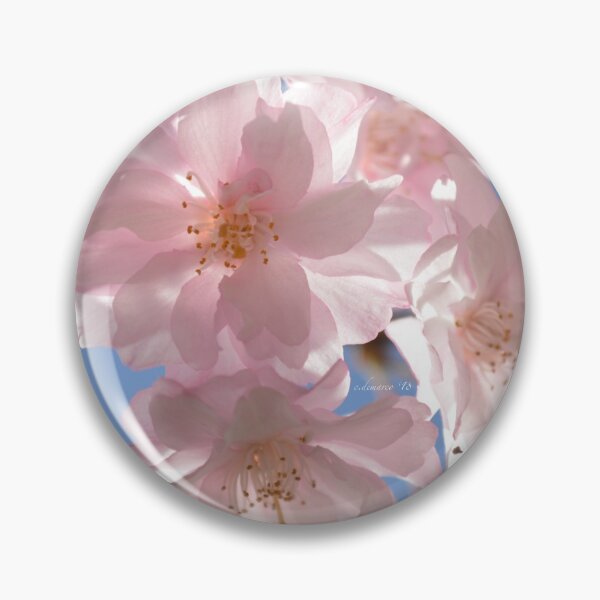 Item preview, Cherry Blossom Photograph designed and sold by c-demarco.