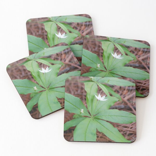 Item preview, Greenery on a Pine Bed designed and sold by Haley McKenzie.