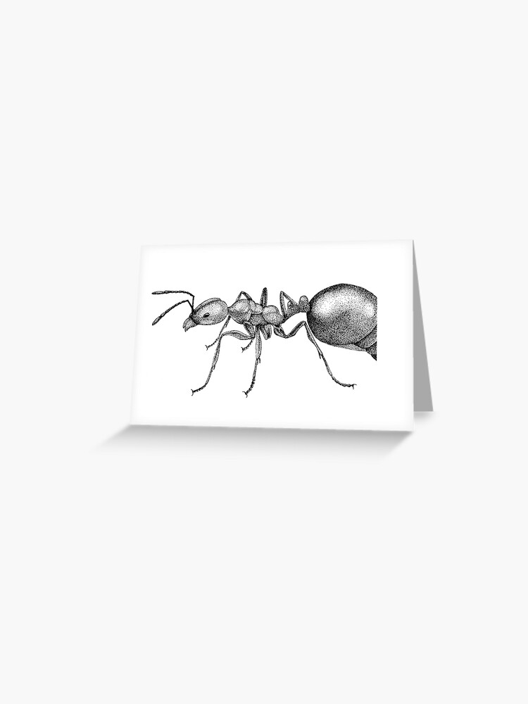Ant Design | Spring Chicken Games
