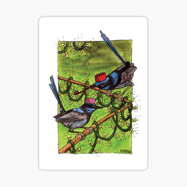 Fairy Wren Christmas Party Sticker