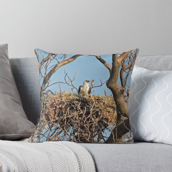Item preview, White Bellied Sea Eagle nesting - Haliaeetus Leucogaster designed and sold by Margaret  Hyde.