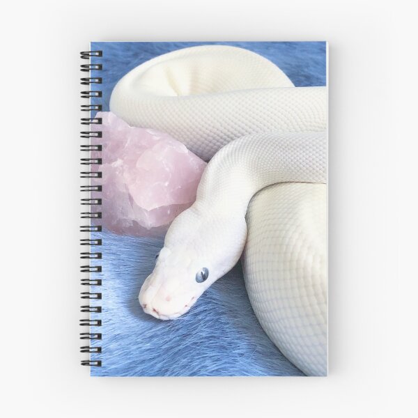 Item preview, Rosequartz and a white snake  designed and sold by dragongirl222.