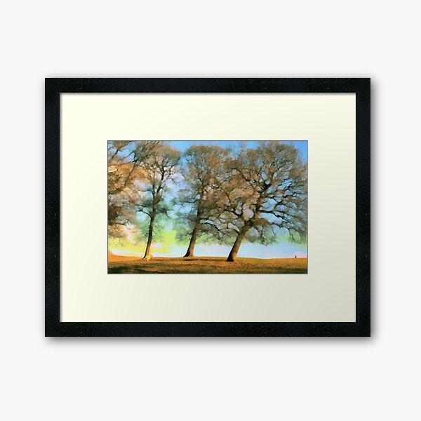 Three Oaks Framed Art Print
