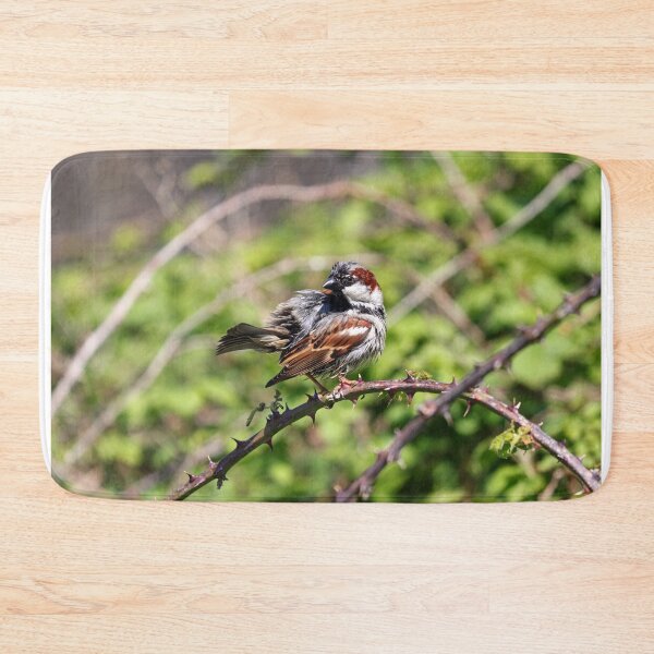 Item preview, Soggy sparrow designed and sold by GreyFeatherPhot.