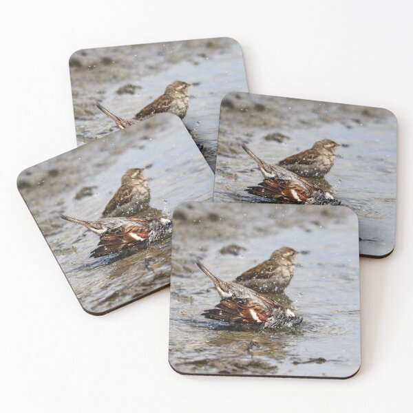Item preview, Bathing sparrow I designed and sold by GreyFeatherPhot.