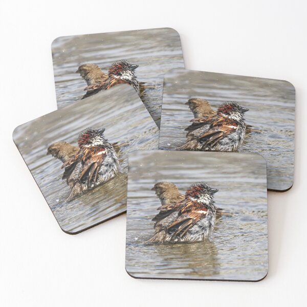 Item preview, Bathing sparrow II designed and sold by GreyFeatherPhot.