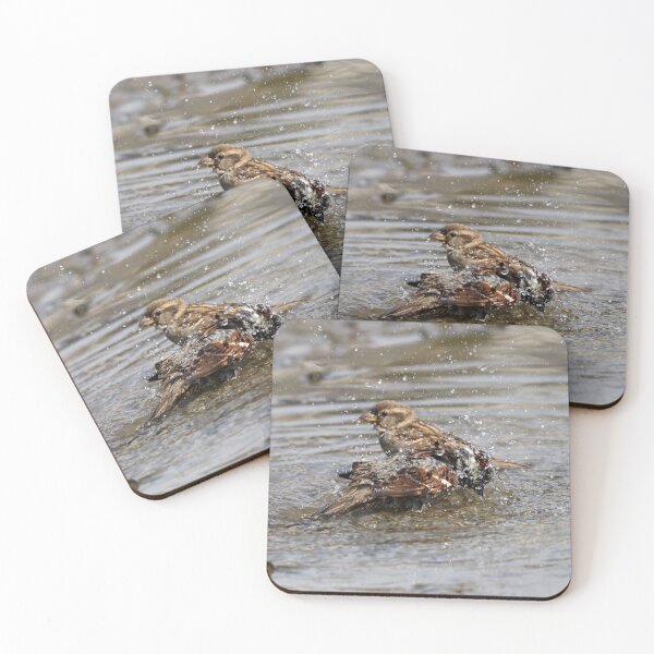 Item preview, Bathing sparrow III designed and sold by GreyFeatherPhot.