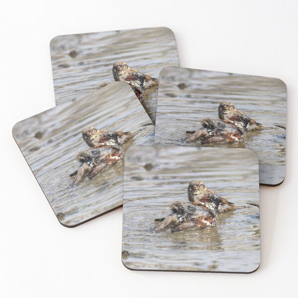 Item preview, Sparrow pool party! designed and sold by GreyFeatherPhot.