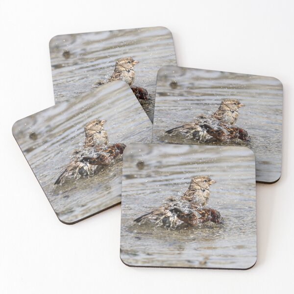 Item preview, Splashing sparrows designed and sold by GreyFeatherPhot.