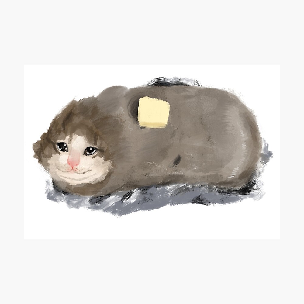 sad cat potato