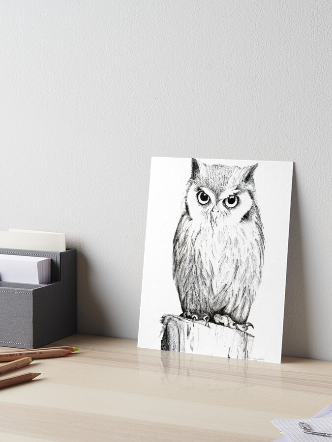 How to Draw an Owl with Pen and Ink
