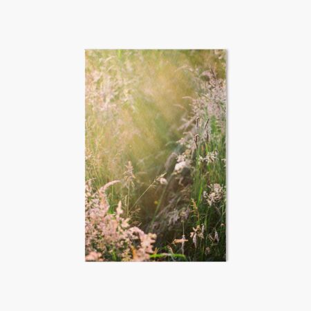 Summer Afternoon in a Meadow Art Board Print