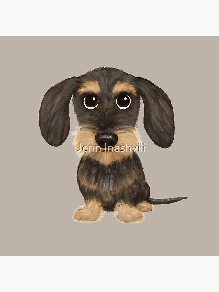 teckel wirehaired dachshund