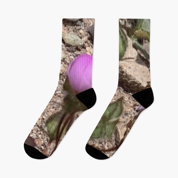 Item preview, Desert Five Spot designed and sold by GraceSage.