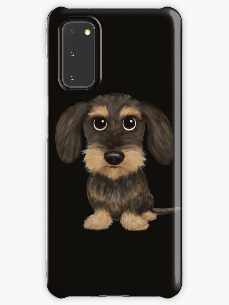 wire haired dachshund wild boar