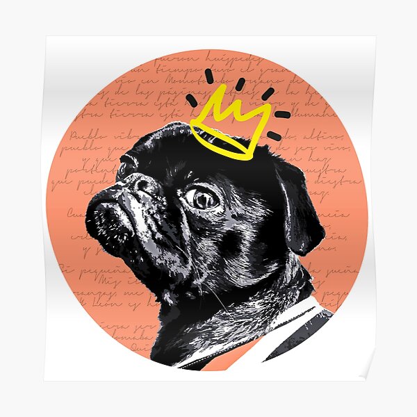 PUG THREE DOGS HEAD STUDY LOVELY OLD STYLE DOG ART PRINT POSTER 