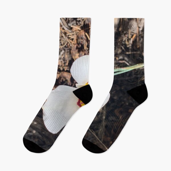 Item preview, Mariposa Lily designed and sold by GraceSage.
