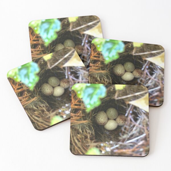 Item preview, Four Bird Eggs designed and sold by Nature and Landscapes.